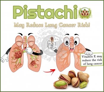 Pistachios May Reduce Lung Cancer Risk!