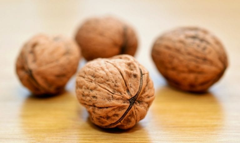 walnut Properties